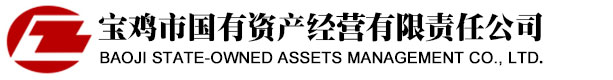 丹東寶康電子有限公司